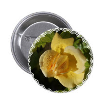 Dew Drop Yellow Rose Pinback Buttons