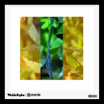 Dew drops on grass wall decals