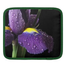 Dew Drops on Purple Iris Sleeve For iPads