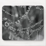 Dew Drops on Web Mouse Pad mousepads