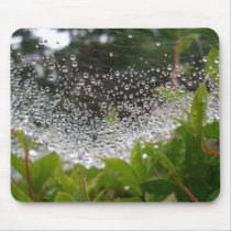 Dew in Spiderweb mousepads