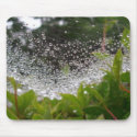 Dew in Spiderweb mousepads