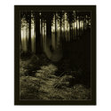 Dew in the Wood posters by popojan Dew in the Wood posters