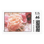 pearls, roses, white lace, lace, floral, flowers,