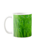 Dew Mug Classic