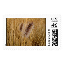 Dew on Grass postage by marlod Dew on Grass postage