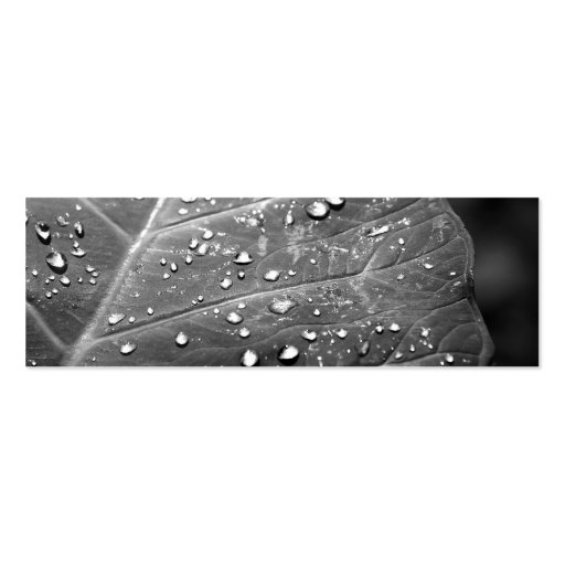 Dew on Leaf Black & White Design Business Card Template