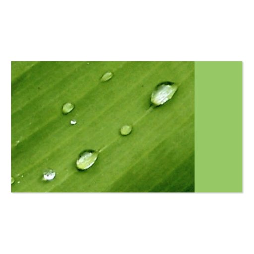 Dew on Leaf Nature Business Cards (front side)