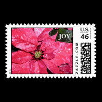 Dew on Poinsettia postage