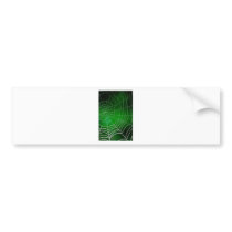 Dew on spiderweb bumper sticker