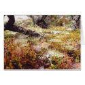 Dew on Spiderwebs cards by bykathryn Dew on Spiderwebs cards