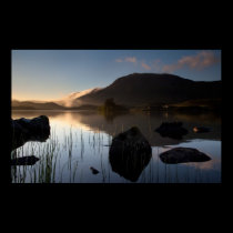 Dew on the  Reeds by the Lake posters