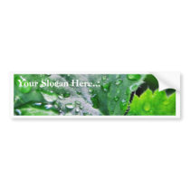 Dew Water Droplets Drops bumper stickers