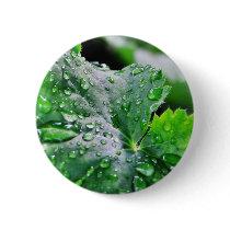 Dew Water Droplets Drops Button