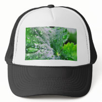 Dew Water Droplets Drops hats