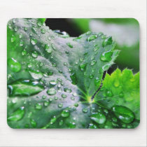 Dew Water Droplets Drops mousepads