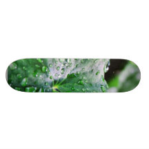 Dew Water Droplets Drops Skate Board Decks