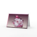 DewDrops cards by FairyAngelEyes DewDrops cards