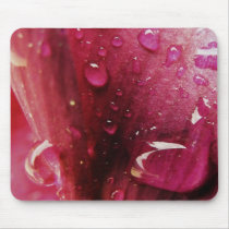Dewdrops mousepads