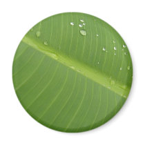Dewey Banana Leaf 1 Fridge Magnet