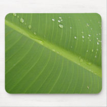 Dewey Banana Leaf 1 Mouse Pads