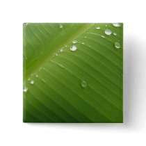Dewey Banana Leaf 2 Pinback Button