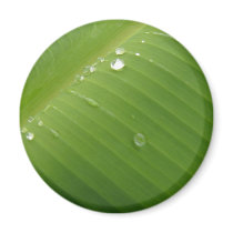 Dewey Banana Leaf 2 Magnet