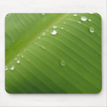 Dewey Banana Leaf 2 Mouse Pad