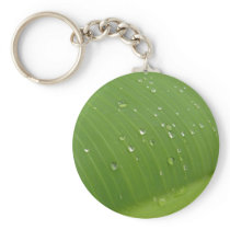 Dewey Banana Leaf 3 Keychains