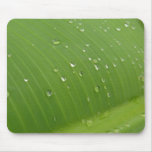 Dewey Banana Leaf 3 Mouse Pad