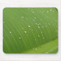 Dewey Banana Leaf 3 Mouse Pad