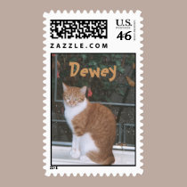 dewey, Dewey stamps