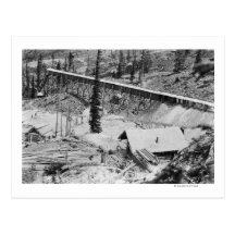 Dewey Gold Mine on Thunder Mountain, Idaho Postcard