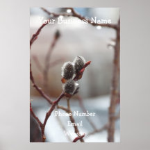 Dewy Catkin; Promotional Print
