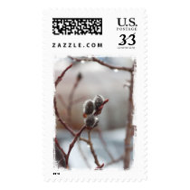 Dewy Catkin Stamps