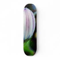 Dewy Flower At Balboa Park Just After Sunrise skateboards