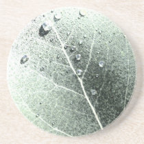 Dewy Leaf Graphic Coaster coasters