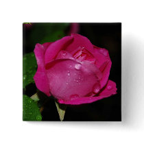 Dewy rose button