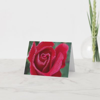 Dewy Rose Note Card
