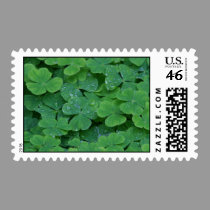 Dewy Shamrocks postage