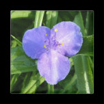 Dewy Trillium Magnet