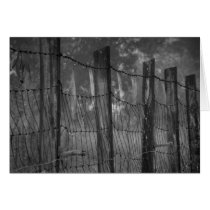 Dewy Webs on Barbed Note Card