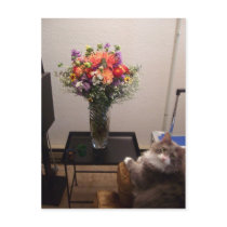 Dexter and Flowers postcards
