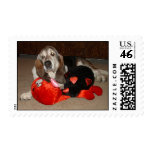 Dexter the love bug stamp