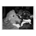 Dexter's Boston Terrier attitude cards by AXIZKELLY Dexter's Boston Terrier attitude cards