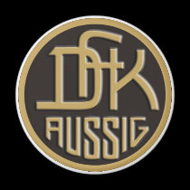DFK Aussig magnets