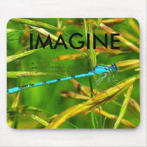 dfly, IMAGINE mousepads