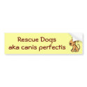 DG- Rescue Dogs, aka canis perfectis bumper stickers by patcallum DG- Rescue Dogs, aka canis perfectis bumper stickers