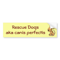 DG- Rescue Dogs, aka canis perfectis bumper stickers