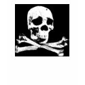 DGT SKULL t-shirts by dirtygirlthreads DGT SKULL t-shirts